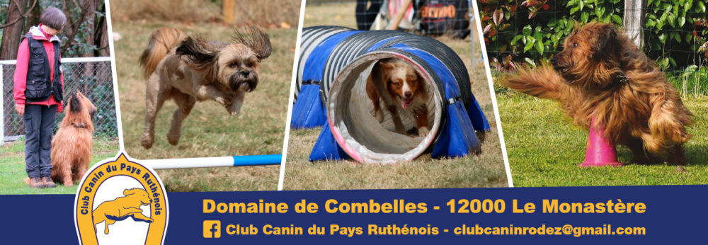 Club Canin Rodez // Agility Obeissance Education
